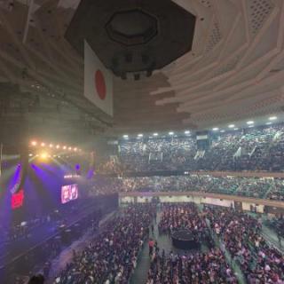 8月10日(月)東京：日本武道館：自分にとっても最初で最後になるであろう武道館。
いままで見たことのないようなペンライトの大海原の中でファン一体となり、いままで足を運んできたT-BOLANライブの最後に相応しく最高に盛り上がれました。上野さんとずっと上野さんをサポートし続けてくれた人時さんとのベースバトル、嵐士さんと近藤房之助さんとの声なき声がきこえる、いつも全力コーラスとダンスと曲中のファンの動きをフォローでライブを支えてくれた唯子姐さん、青木さんの代わりに完璧なサポートに徹し続けてくれだ永井さん、最高でした。

さらにファンとしての我儘を言わせてもらえば、アンコールの最後の楽曲が終わったあとだけでもいいので青木さんも加えた４人で肩を組んでファンに手を振るT-BOLANが見たかった。

2014年、気持ちがどん底の中でライブを追い始めて元気をもらい続け、この日まで多くのファン友さんと知り合い、自分なりに楽しい人生を送れました。今までありがとうございました。