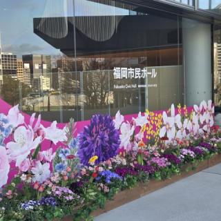 3月14日(土)福岡：福岡市民会館 大ホール：ホールが綺麗になって、見やすい会場でした！この日の14時にオフィシャルからの大切なお知らせに、LIVE中もモヤモヤしながら…お知らせのお知らせでもっとモヤモヤしたけど…
今回もとても素敵なLIVEでした！