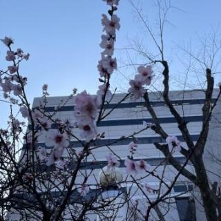3月14日(土)福岡：福岡市民会館 大ホール：９月市川から参加しやっと地元福岡でのライブ🎶
今まで旦那さんは参加したことがなかったけど、初めて夫婦でT-BOLANのライブに参加することができて、私はもっと好きになったし初めて参加した旦那さんもとても楽しそうにしてる姿にさすが嵐士さん♡さすがT-BOLANだと思い知らされた1日でした♡