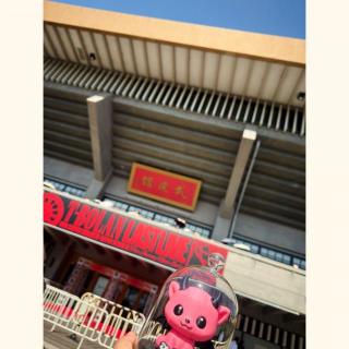 8月10日(月)東京：日本武道館：念願の武道館。前日は緊張とワクワクで眠れませんでした（笑）暗転からの見渡す限り光り輝く真っ赤な絨毯の様な光景に思わず鳥肌がたちもう涙腺崩壊です。思い出がたくさん詰まった曲ばかりでずっと泣きながら踊っていました。あっという間だったけどとても濃い時間を皆さんで過ごせて本当に幸せでした。